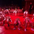 Cirkus