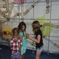 IQ Park Liberec