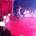 Cirkus