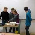 Mini projekt Čj