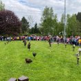 resize_img_0696