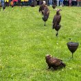 resize_img_0698