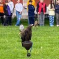resize_img_0699
