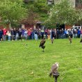 resize_img_0700