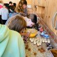 resize_img_2930