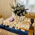 resize_img_4510