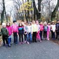 IMG_20181108_140803