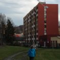 IMG-20191115-WA0010
