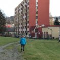 IMG-20191115-WA0013