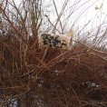 IMG_20210128_144422