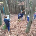 IMG_20221103_143229