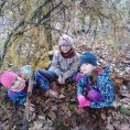 IMG_20221108_143316