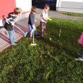 IMG_20221031_142845
