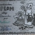 9_3foto_brusleni