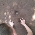 IMG-20240529-WA0006