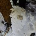 IMG-20231207-WA0018